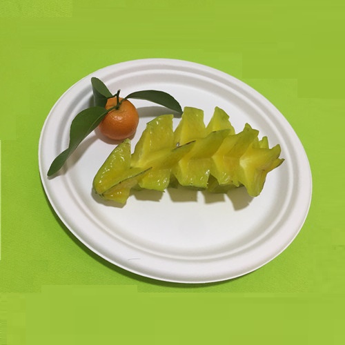 Экологиялық таза ыдыс