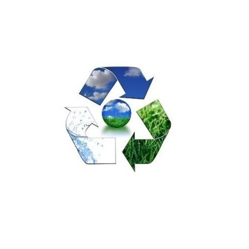 Квинсленд теңіз өмірін сақтап қалу үшін бір рет қолданылатын пластикалық сабандар мен табақтарға тыйым салуға көшті