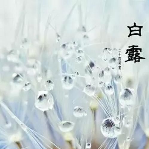 Ақ шық