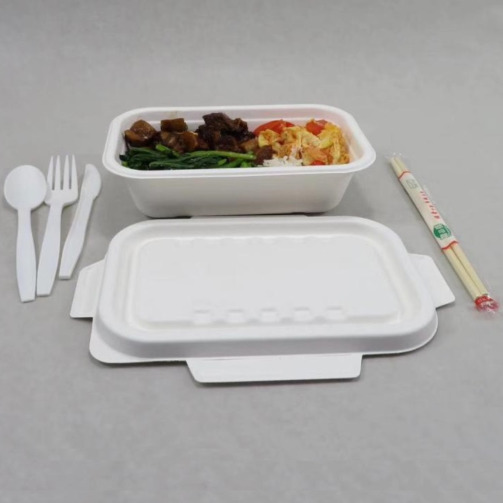 Shenglin Packaging компаниясының Багассе ыдыс-аяқ қораптарын ортақ пайдалану конференциясы